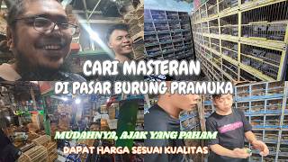 BELI MASTERAN DI PASAR BURUNG PRAMUKA || Cucak Kinoi (Ranting) Langka?!! APRIL 2026 BELI MASTERAN DI PASAR BURUNG PRAMUKA || Cucak Kinoi (Ranting) Langka?!! APRIL 2026