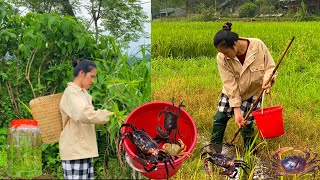 The girl makes pickled vegetables - goes to the fields to scoop up fish and crabs to cook