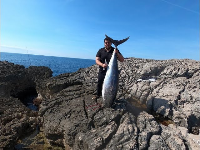 Atlantic Bluefin Tuna Fishing….. in The UK ! We went chasing big