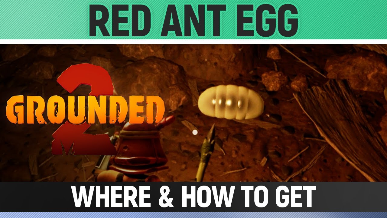 Grounded 2 - Red Ant Egg - Where & How to Get