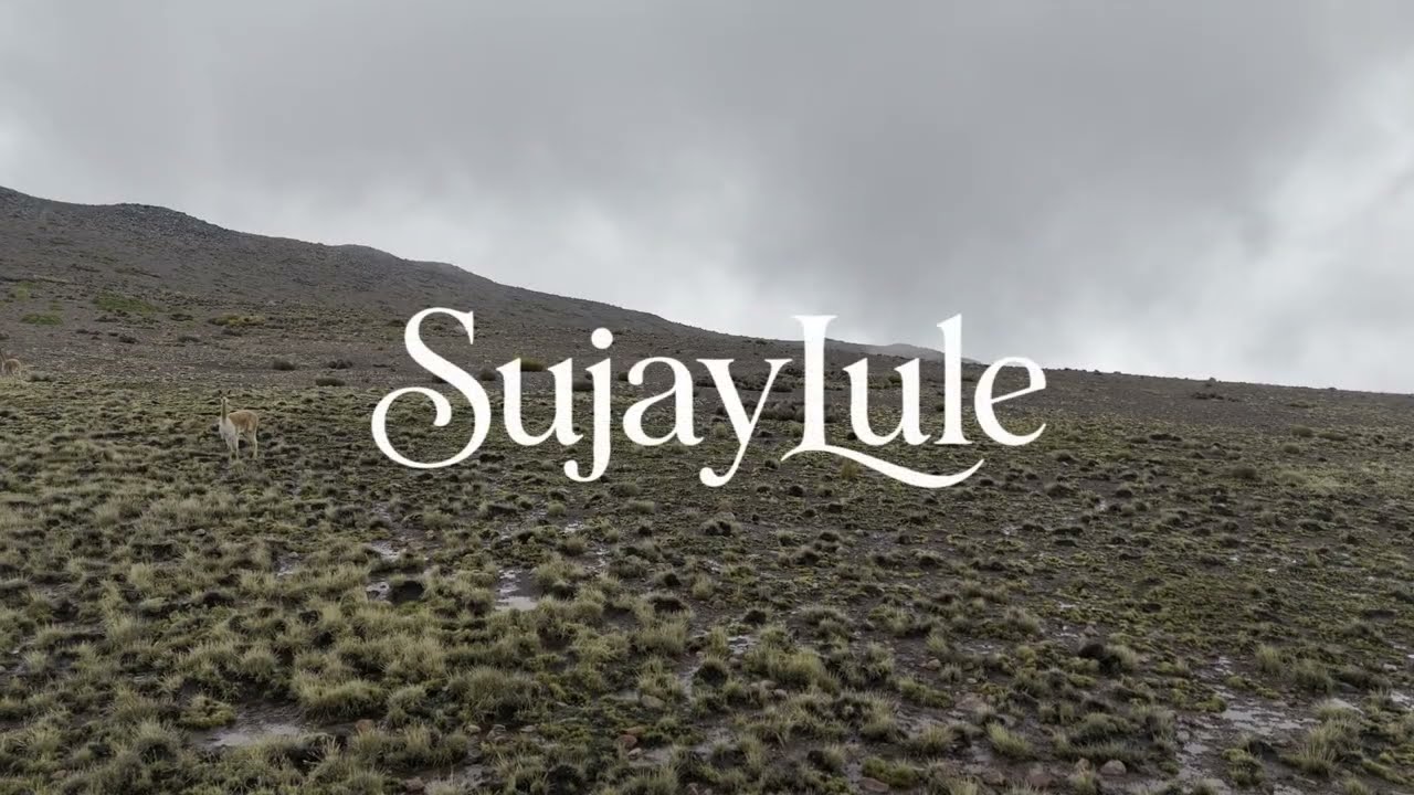 Vuelo Salvaje: Paisajes y Vicuñas con DJI Mini 4 Pro | Próximamente Más 🎥