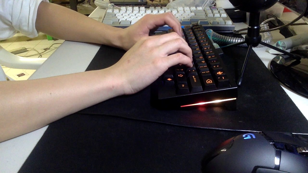 Duck Viper V2 plastic plate 55g Invyr Panda Switches