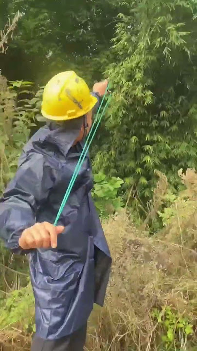 Break bamboo with slingshot
