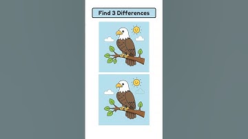 Spot 3 Differences #2017