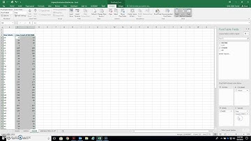Frequency Distribution with Pivot Table