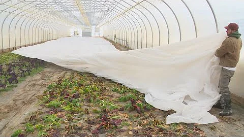 USDA grant halt squeezes farmers and threatens rising consumer costs