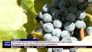 ΑΓΡΟΤΕΣ ΣΕ ΠΑΓΓΑΙΟ &  ΝΕΣΤΟ ΣΕ ΑΠΟΓΝΩΣΗ ΑΠΟ ΤΟΝ ΠΕΡΟΝΟΣΠΟΡΟ – ΤΕΡΑΣΤΙΑ ΚΑΤΑΣΤΡΟΦΗ ΣΤΟΥΣ ΑΜΠΕΛΩΝΕΣ
