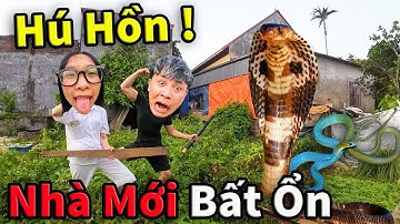 Hậu Cáo Hú Hồn Bẫy Được Ổ Hổ Chúa Nhà Mới Bị Kẻ Xấu Pha