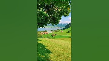 قران كريم ارح قلبك تلاوه خاشعه🥺🥺