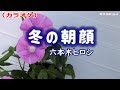 「冬の朝顔」六本木ヒロシ/カラオケ