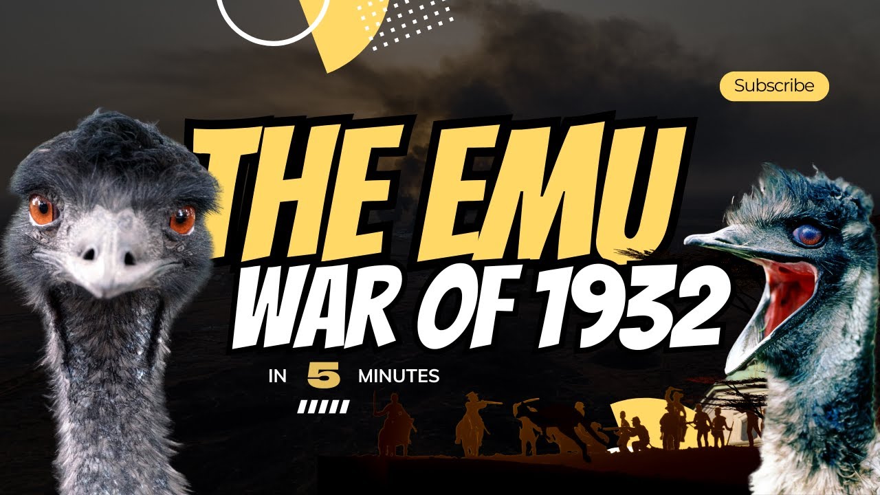 The Great Emu War: How Australia Lost a War to Birds | The History Of ...