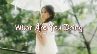   What Are You Doing chinese Version Of Laffy Taffy mv