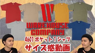 WARE HOUSE / ウエアハウス( Lot 4601 ポケットTシャツ ) サイズ感 縮み 経年変化  ～参考になればと～