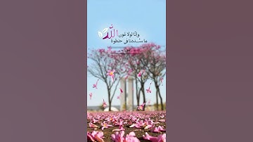 راحة نفسية 💕 أجمل حالات واتس اب قران كريم بصوت جميل جدا 🖇 مقاطع قرآن إسلام صبحي Quran status #قرآن