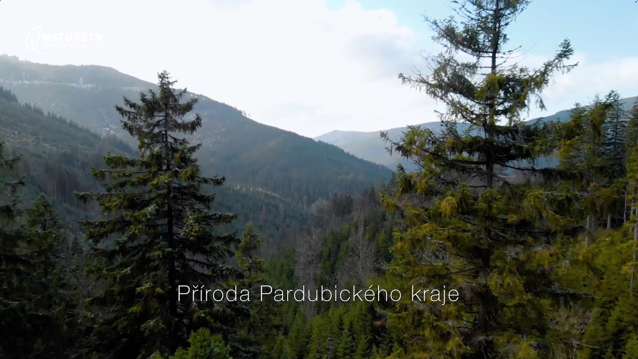 Příroda Pardubického kraje - naučné informativní video