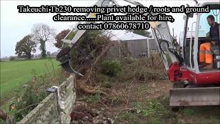 Privet Hedge Removal Using Takeuchi TB 230