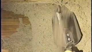 Large Eastern Subterranean Termite Mud Tubes