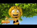 Nektardiebe - Die Biene Maja🐝🍯🐝
