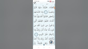 سورة هود صفحة (٢٣٣)