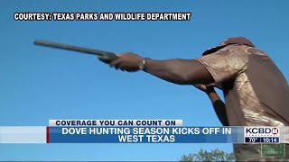 FOCUS ON AG: Dove hunting season begins in West Texas