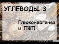 УГЛЕВОДЫ 3. ГЛЮКОНЕОГЕНЕЗ И ПФП