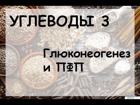 Бейне: Глицеральдегид 3 фосфаты не істейді?