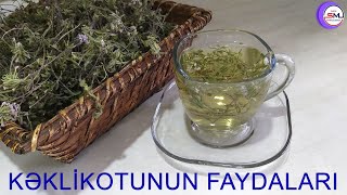 Kəklikotunu isti yoxsa soyuq halda içməliyik və faydaları