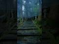 Another world inside Japan