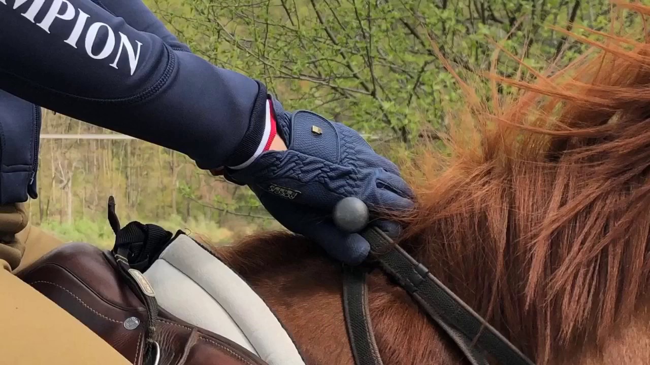 Roeck-Grip Gloves by Roeckl Review!