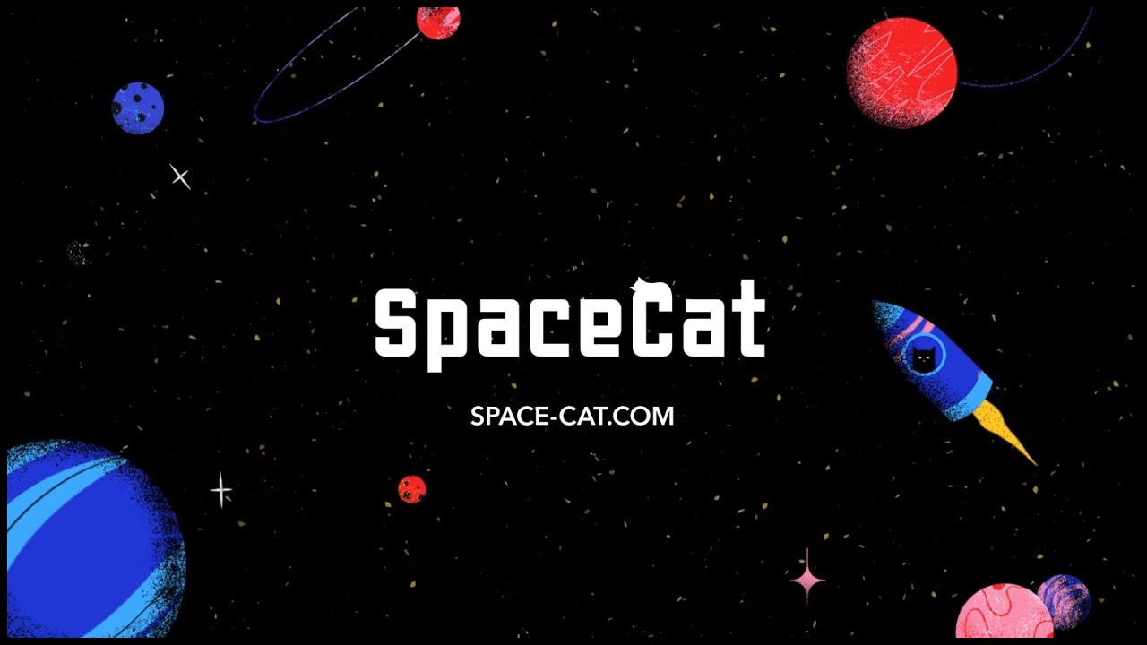Space Cat Video 2022 Showreel | space-cat.com - YouTube
