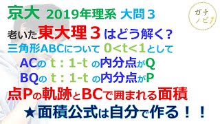 理３がチャレンジ！京大2019年理系第３問（東大理３の解説動画）