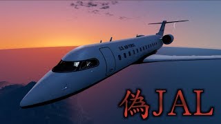 【GTA5】自分をJALのパイロットだと思い込む異常者の飛行機に乗ってみた screenshot 1