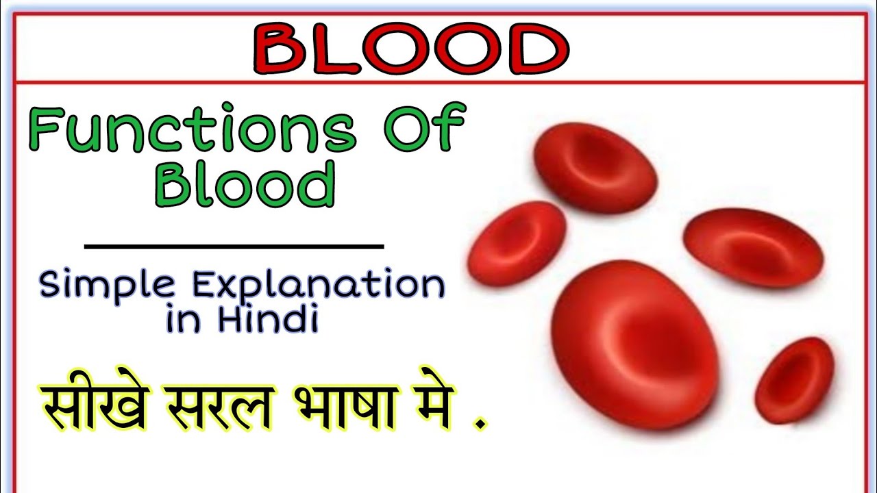 Functions of Blood Simple Explaination in Hindi , रक्त के कार्य हिंदी