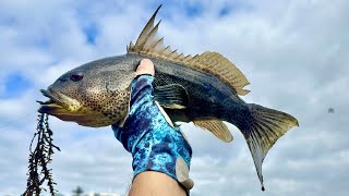How I use small HOOKUP BAITS to CATCH MORE FISH | Carlsbad Lagoon