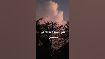 اللهم احفظ إخواننا في فلسطين. #عبدالرحمن_مسعد_تلاوة_جديدة #allah #المصحف #loveallah #love