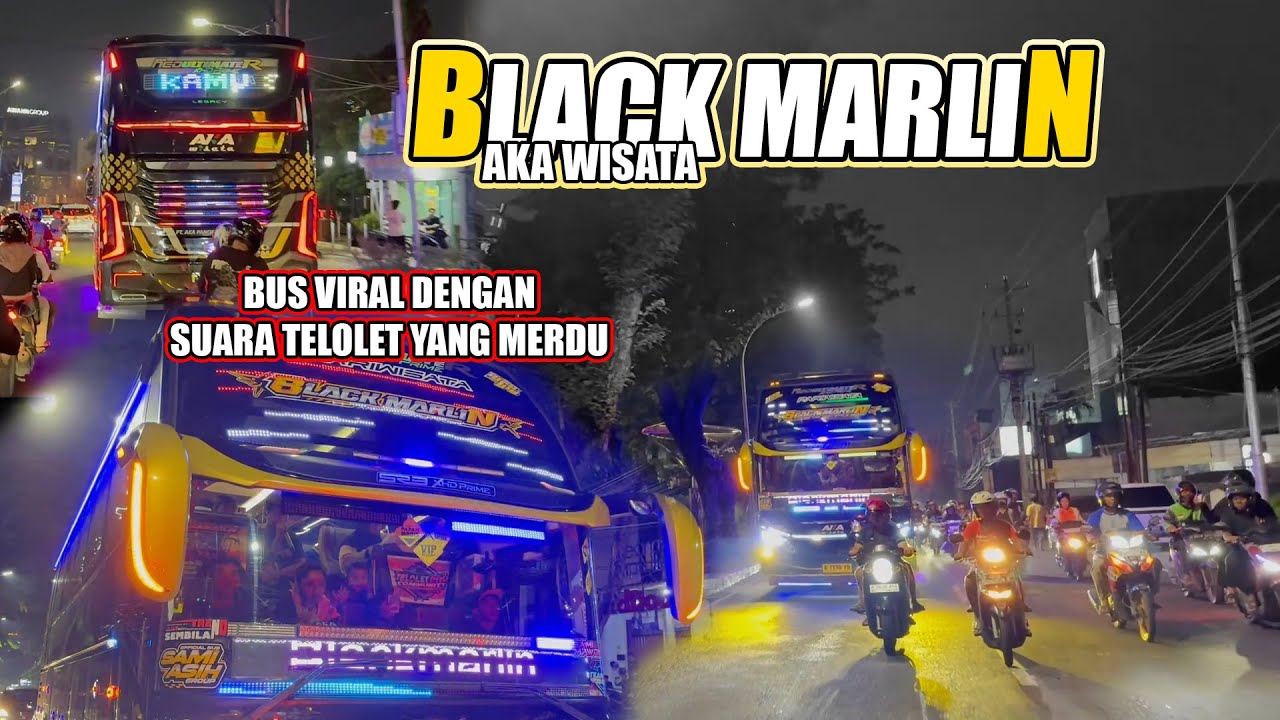 BLACK MARLIN KELILING SEMARANG ? EDISI TRIP GABUT FULL BASURI !! RAME BANGET MANIANYA !!