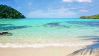 Beach Background Video HD - Tropical Beach Ambiance