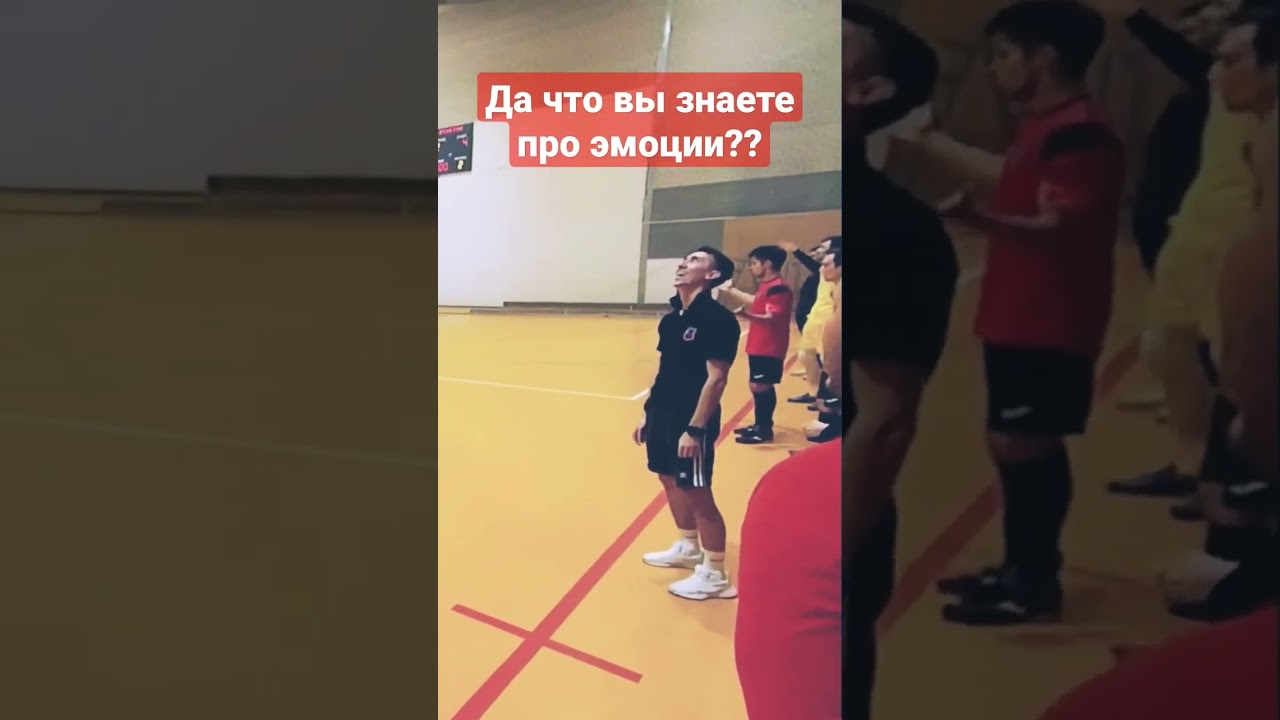 это безумие? 