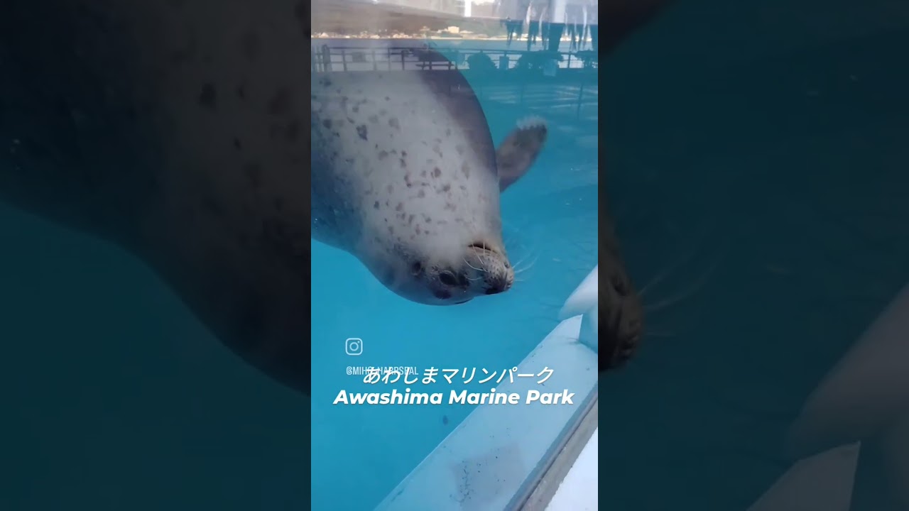 あわしまマリンパーク