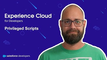 Use privileged scripts for 3rd party libraries within LWR sites