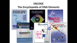 Gene Regulation and Motif Analysis