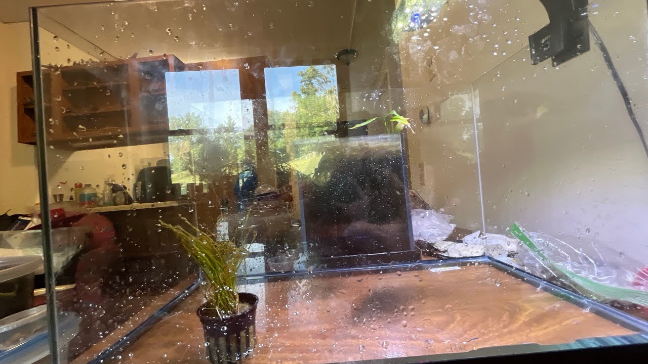 Day one of Operation Chitin was a success. 