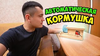 СДЕЛАЛ КОРМУШКУ ДЛЯ ПТИЦ - ПРИГОТОВИЛ РУЛЕТ ИЗ КУРИНОЙ ГРУДКИ