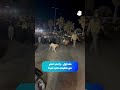 متداول - راعي غنم مع قطيعه في صيدا