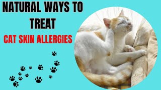 9 WAYS TO Treat Cat Skin Allergies Naturally by For Pet Owners 186 views 2 months ago 3 minutes, 17 seconds