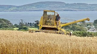 Harvesting oats in the West of Ireland with a New Holland Clayson 1545 Combine Harvester