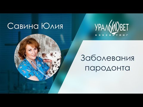 Заболевания пародонта. Савина Юлия #убвк_стоматология