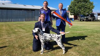 Adstaff Princess Margaret: Best Puppy in Show! by Adam Booth 286 views 5 months ago 1 minute, 46 seconds