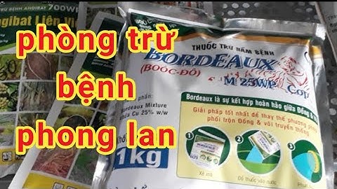 Thuốc boocdo nguyên tố đồng chứa bao nhiêu phần trăm năm 2024