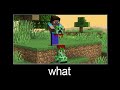 Minecraft wait what meme part 192 (Steve with the Сreeper head)